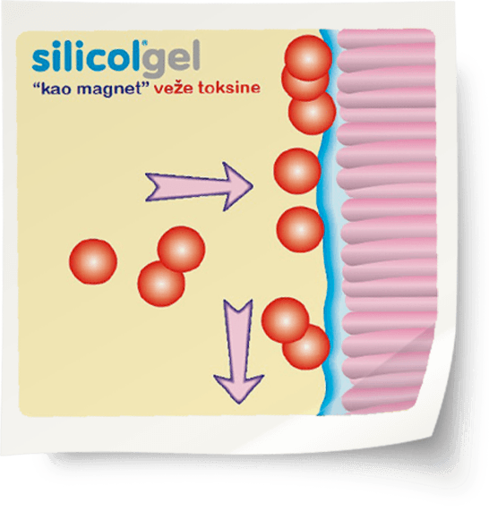 silicolgel infographics